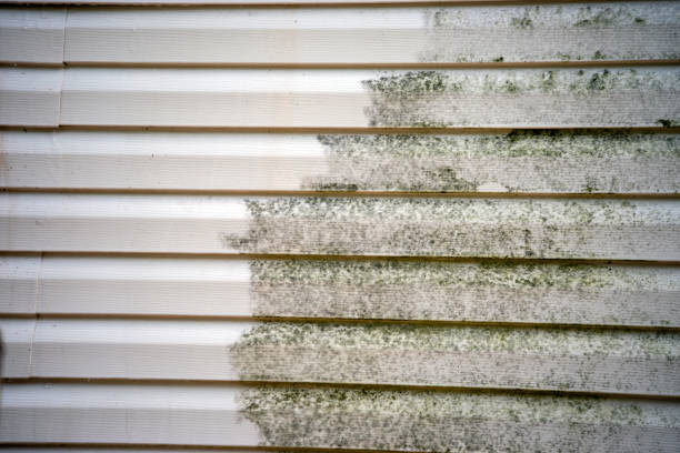 Affordable Siding Repair and Maintenance Services in Ofallon, IL